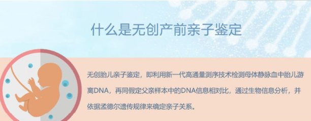 贵州省刚怀孕需要怎么做产前亲子鉴定,贵州省办理无创怀孕亲子鉴定多少钱