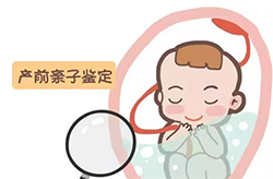 贵州省怀孕几个月怎么判断孩子是谁的(预约咨询)